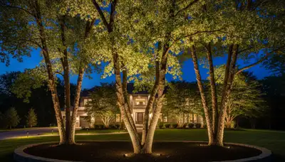 Dramatic tree uplighting design by Chop Chop Landscaping in Cleveland, OH showcasing professional outdoor lighting
